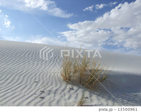 ホワイトサンズ国定記念物 13500961