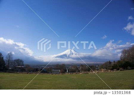 忍野村から望む富士山 忍野村から望む富士山 13501368