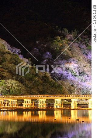 12月京都 嵐山渡月橋ライトアップ(嵐山花灯路) 13501388