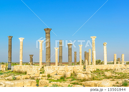 グウエイルベ遺跡(ヨルダン、イルビド北) 13501944