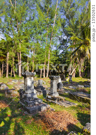 Old cemetery Old cemetery 13502631