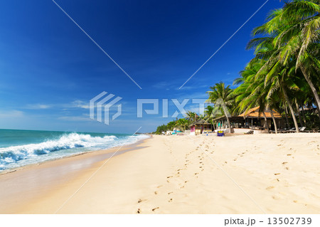 Beautiful beach with blue sky 13502739
