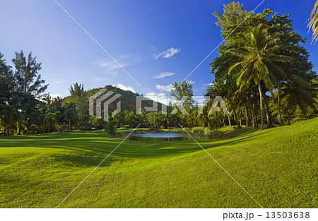 Golf field at island Praslin, Seychelles 13503638