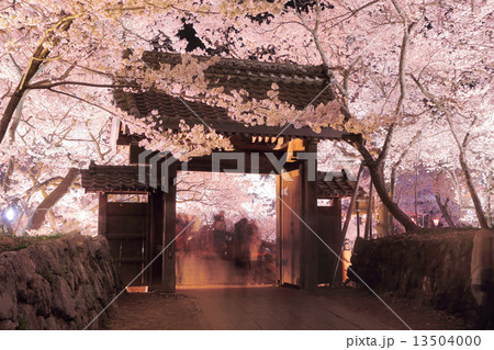 高遠城址公園の桜 高遠城址公園の桜 13504000