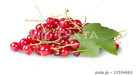 Bunch Of Red Currants With Currant Leaves Rotated Bunch Of Red Currants With Currant Leaves Rotated 13504663