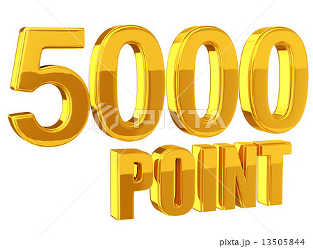ポイントサービス 5000 ポイント 13505844