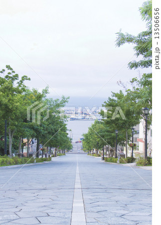 函館八幡坂 13506656