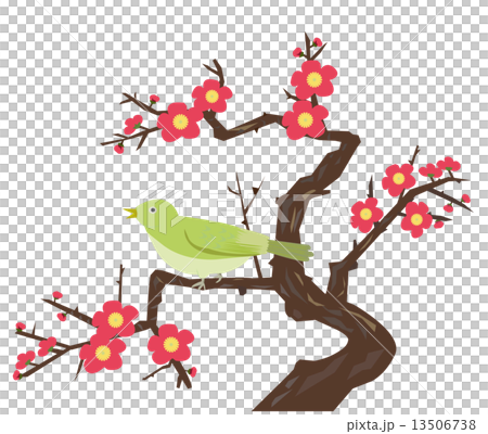 Ume and Ugisu 13506738