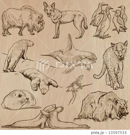Animals - An hand drawn vector pack Animals - An hand drawn vector pack 13507533