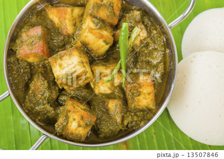 Palak Paneer - Asian curry with cheese cubes and pureed spinach.  13507846
