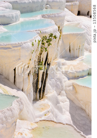 Travertine pools and terraces in Pamukkale, Turkey Travertine pools and terraces in Pamukkale, Turkey 13508568