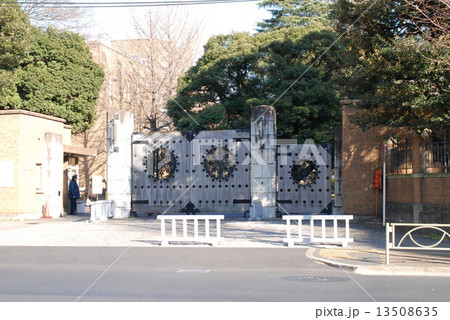 東大農学部門前 13508635