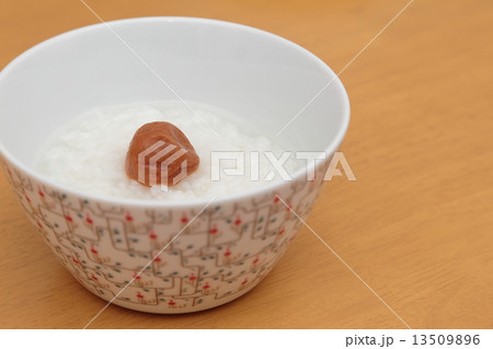 おかゆ 13509896