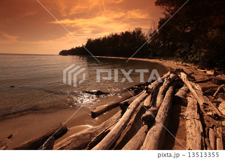 ASIA BRUNEI DARUSSALAM 13513355