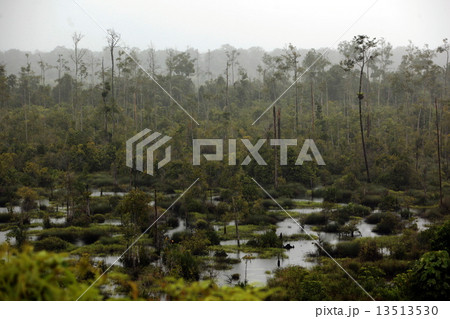 ASIA BRUNEI DARUSSALAM 13513530