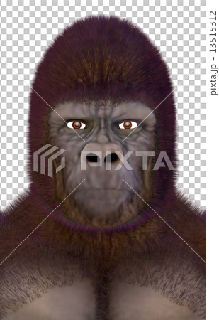 Gorilla ☆ Gorilla 13515312