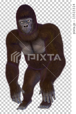 Gorilla ☆ Gorilla 13515314