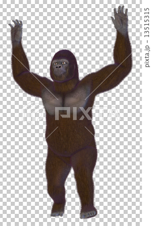 Gorilla ☆ Gorilla 13515315