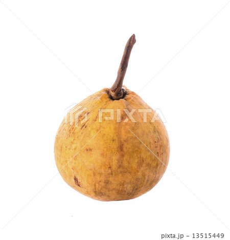 Santol fruit isolated on white background 13515449
