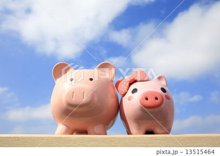 Pink piggy bank couple 13515464