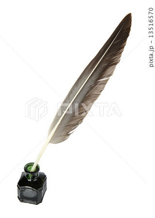 Quill in the inkwell 13516570