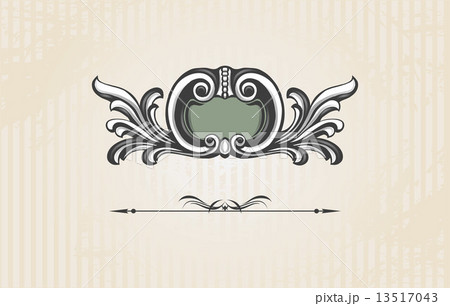 Vintage ornate shield  13517043