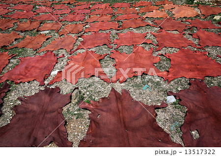 AFRICA MOROCCO FES 13517322