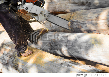 Saw blade for cutting timber 13518358