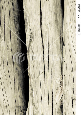 texture of bark tree for background texture of bark tree for background 13518368