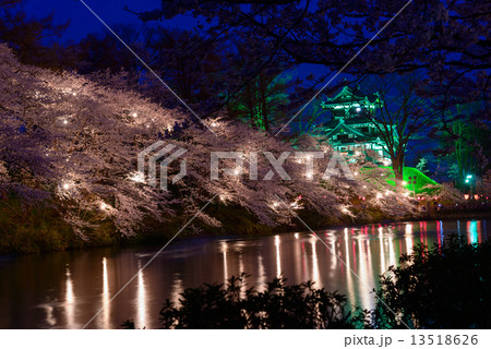 上越　高田公園の桜と高田城のライトアップ 13518626
