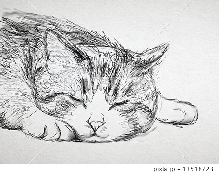 猫 イラスト ペン画風のイラスト素材