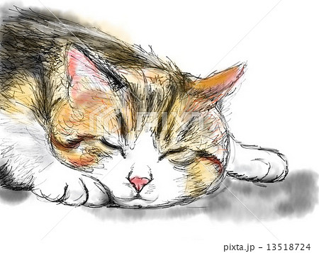 猫のイラストのイラスト素材
