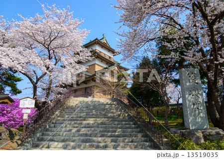 長野県　諏訪　高島公園の桜と高島城天守閣 13519035