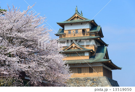 長野県 諏訪 高島公園の桜と高島城天守閣の写真素材