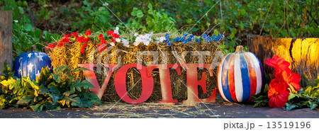 Vote sign Vote sign 13519196