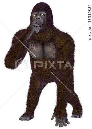 ゴリラ Gorillaのイラスト素材