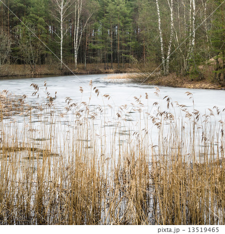 Spring March landscape at wood lake 13519465