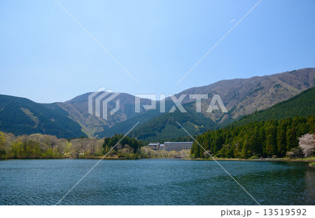 静岡　富士宮　田貫湖 13519592