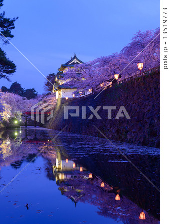 青森 弘前公園の桜のライトアップ 青森 弘前公園の桜のライトアップ 13519773