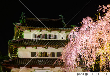 青森 弘前公園の桜のライトアップと弘前城天守閣 青森 弘前公園の桜のライトアップと弘前城天守閣 13519871