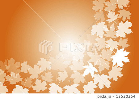背景 素材 壁紙 紅葉 落ち葉 葉 秋 椛 かえで カエデ 楓 植物 紅葉狩り 椛狩り モミジ のイラスト素材