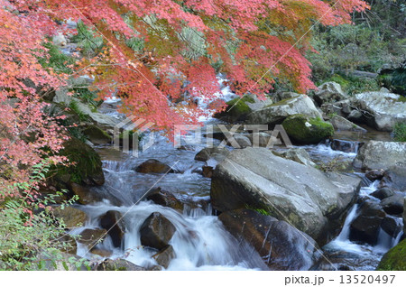 総社市豪渓の紅葉と渓谷の写真素材