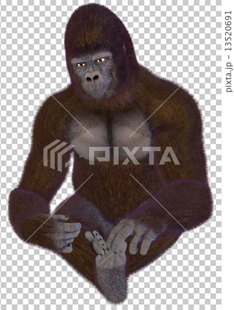 Gorilla ☆ Gorilla 13520691