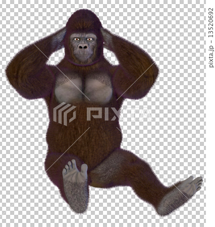 Gorilla ☆ Gorilla 13520692