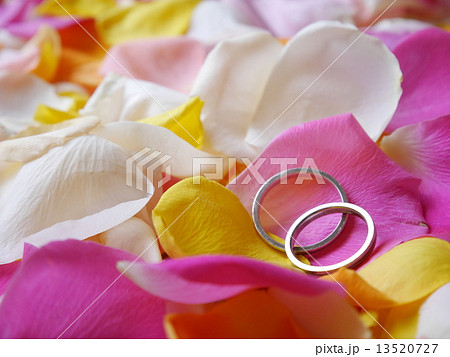 結婚指輪 13520727