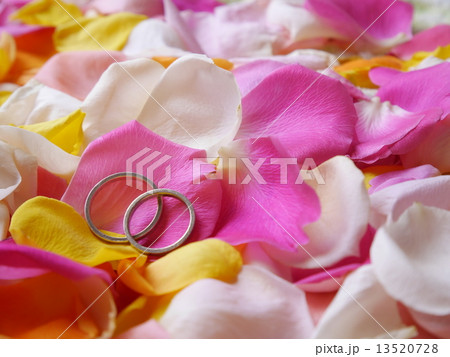 結婚指輪 13520728