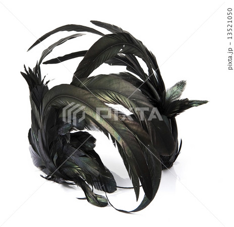 Black feather headband on white 13521050