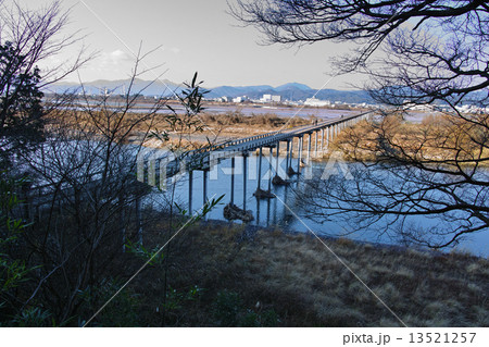 静岡 蓬莱橋 静岡 蓬莱橋 13521257