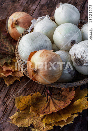harvest onion 13521572
