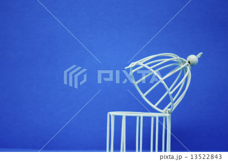 開いた鳥かご 開いた鳥かご 13522843